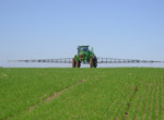 Área plantada com trigo na Argentina cresce 7% em relação à safra 2012/2013